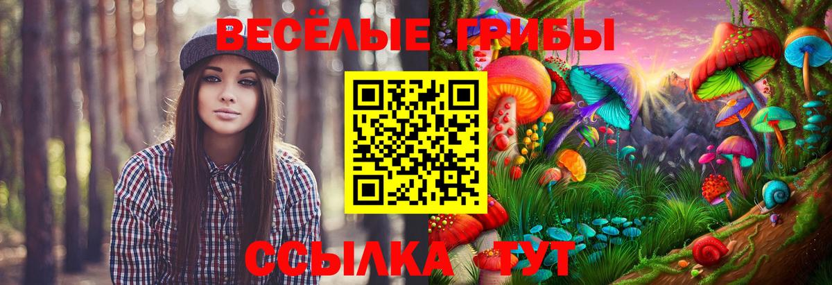Псилоцибиновые грибы MAGIC MUSHROOMS Анапа