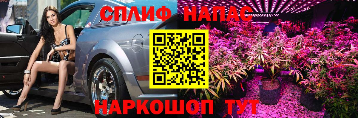 Каннабис планчик Анапа